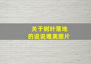 关于树叶落地的说说唯美图片