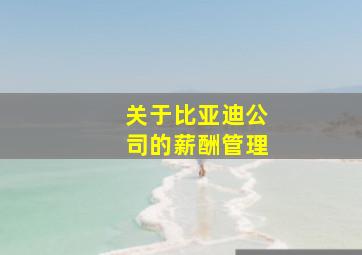 关于比亚迪公司的薪酬管理