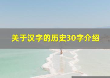 关于汉字的历史30字介绍