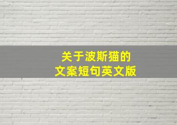 关于波斯猫的文案短句英文版