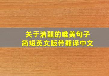 关于清醒的唯美句子简短英文版带翻译中文