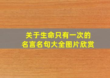 关于生命只有一次的名言名句大全图片欣赏