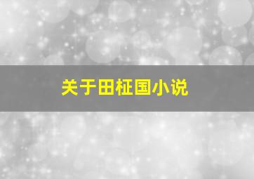 关于田柾国小说