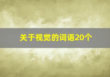 关于视觉的词语20个