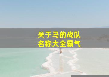 关于马的战队名称大全霸气