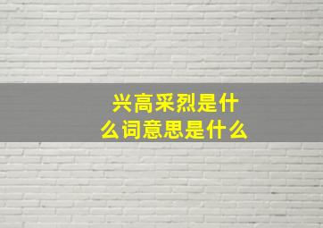 兴高采烈是什么词意思是什么