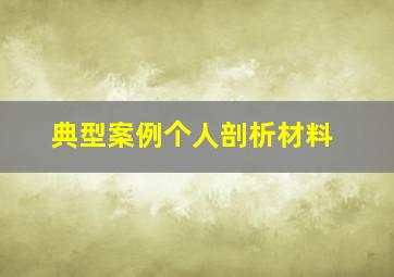 典型案例个人剖析材料