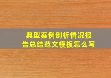 典型案例剖析情况报告总结范文模板怎么写