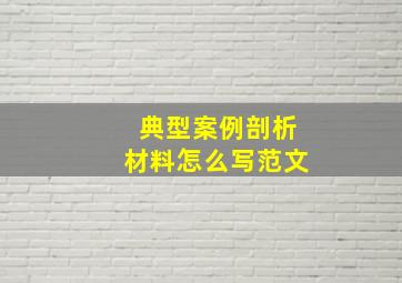 典型案例剖析材料怎么写范文