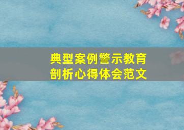 典型案例警示教育剖析心得体会范文