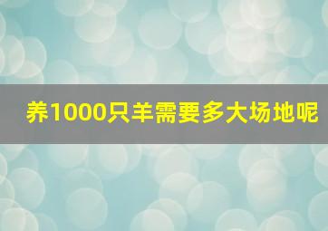 养1000只羊需要多大场地呢