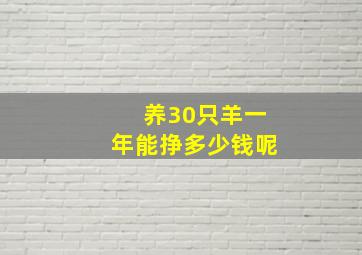 养30只羊一年能挣多少钱呢