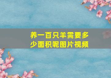 养一百只羊需要多少面积呢图片视频