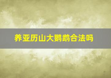 养亚历山大鹦鹉合法吗