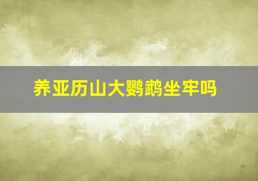 养亚历山大鹦鹉坐牢吗