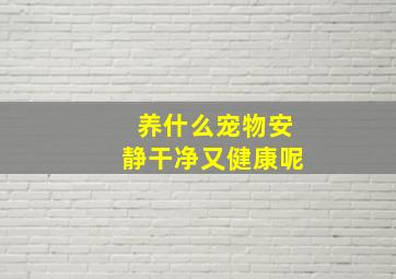 养什么宠物安静干净又健康呢