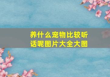 养什么宠物比较听话呢图片大全大图