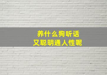 养什么狗听话又聪明通人性呢