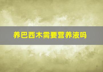 养巴西木需要营养液吗