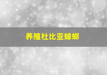 养殖杜比亚蟑螂