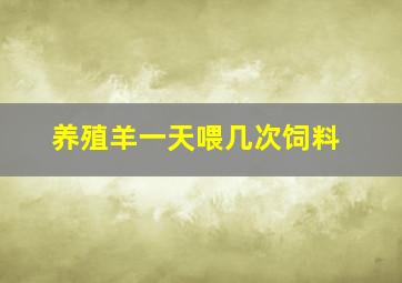 养殖羊一天喂几次饲料