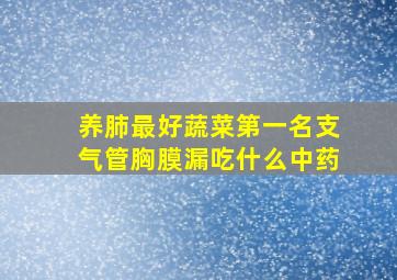 养肺最好蔬菜第一名支气管胸膜漏吃什么中药