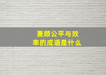 兼顾公平与效率的成语是什么