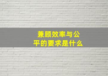 兼顾效率与公平的要求是什么