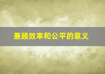 兼顾效率和公平的意义