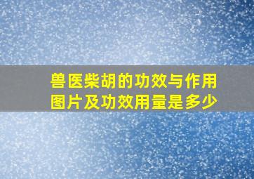 兽医柴胡的功效与作用图片及功效用量是多少