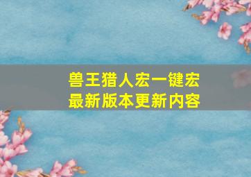 兽王猎人宏一键宏最新版本更新内容