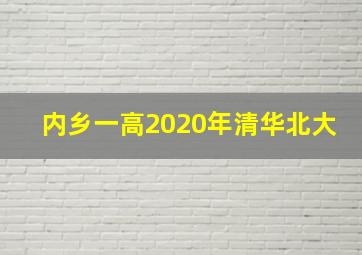 内乡一高2020年清华北大