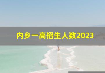 内乡一高招生人数2023