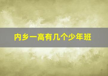 内乡一高有几个少年班