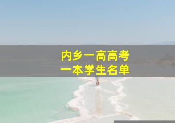 内乡一高高考一本学生名单