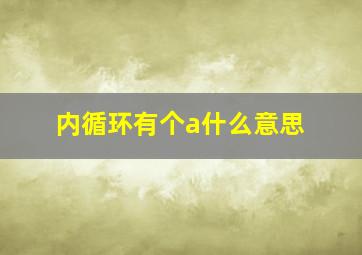 内循环有个a什么意思