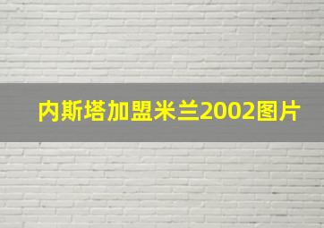 内斯塔加盟米兰2002图片