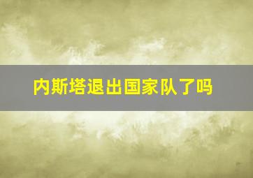 内斯塔退出国家队了吗