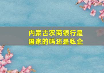 内蒙古农商银行是国家的吗还是私企