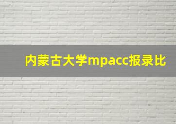 内蒙古大学mpacc报录比