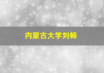 内蒙古大学刘畅