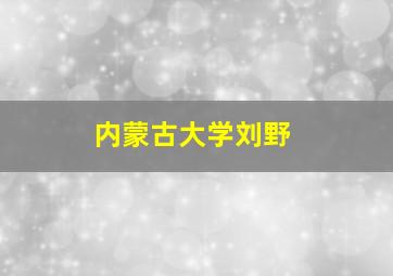 内蒙古大学刘野