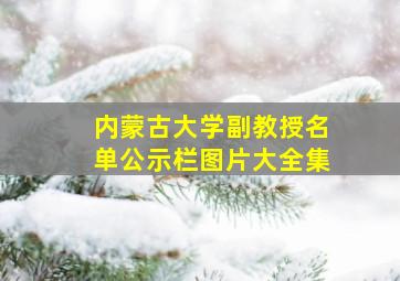 内蒙古大学副教授名单公示栏图片大全集