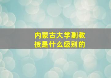 内蒙古大学副教授是什么级别的