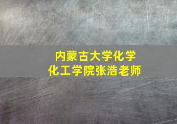 内蒙古大学化学化工学院张浩老师