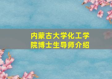 内蒙古大学化工学院博士生导师介绍