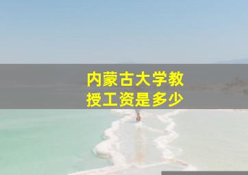 内蒙古大学教授工资是多少