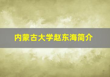 内蒙古大学赵东海简介