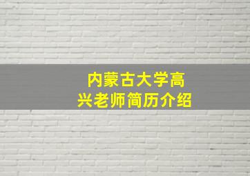 内蒙古大学高兴老师简历介绍