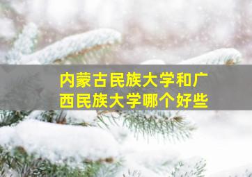 内蒙古民族大学和广西民族大学哪个好些